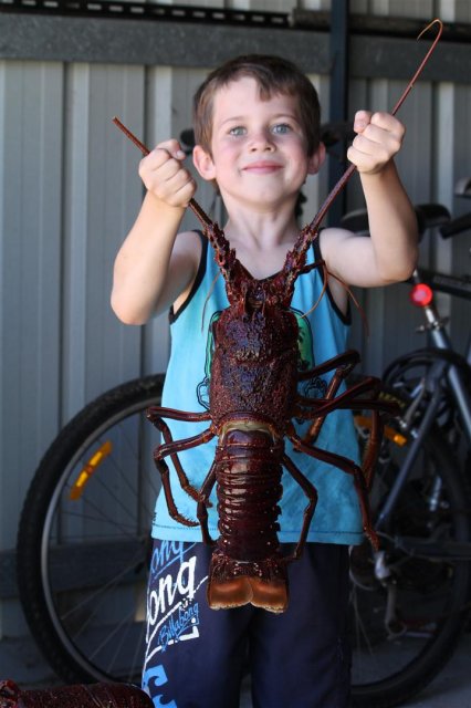 Brothers young bloke straining with his big red spider.